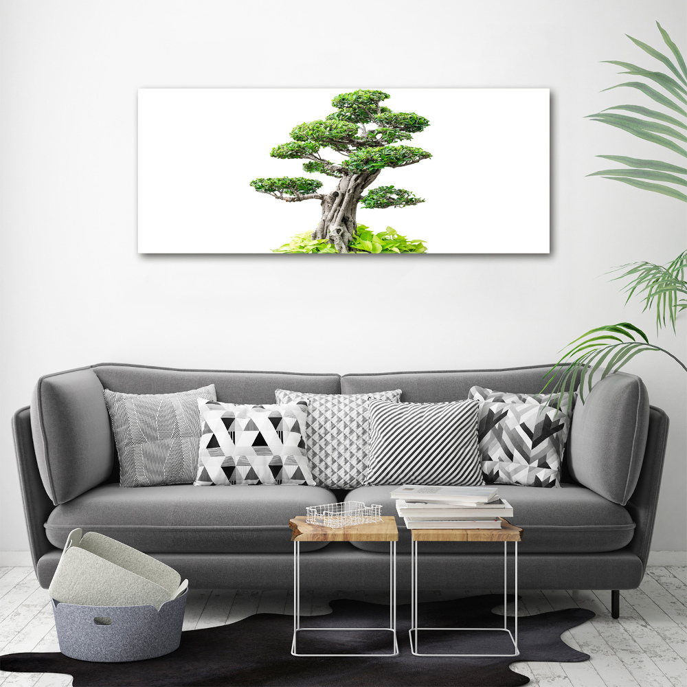 Foto obraz sklo tvrzené bonsai