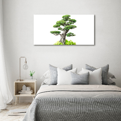 Foto obraz sklo tvrzené bonsai