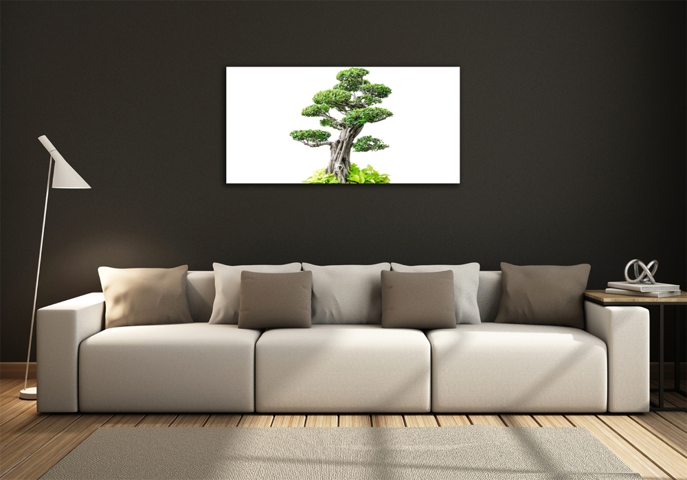 Foto obraz sklo tvrzené bonsai