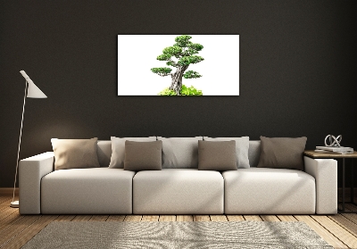 Foto obraz sklo tvrzené bonsai