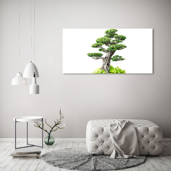 Foto obraz sklo tvrzené bonsai