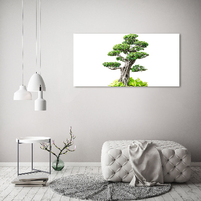 Foto obraz sklo tvrzené bonsai