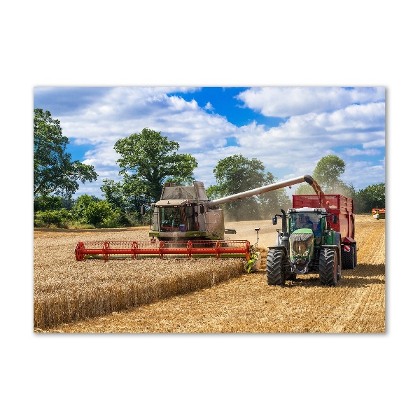 Foto obraz sklo tvrzené Kombajn a traktor