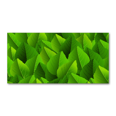 Fotoobraz na skle zelené lístie
