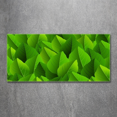 Fotoobraz na skle zelené lístie