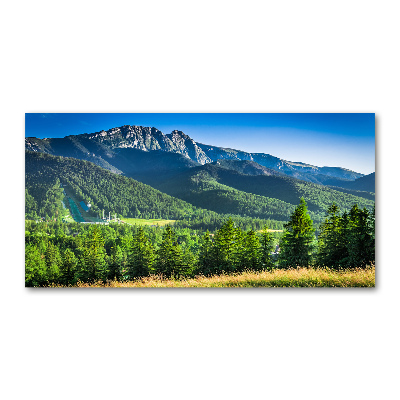 Foto-obraz fotografie na skle Skokanský mostík Tatry