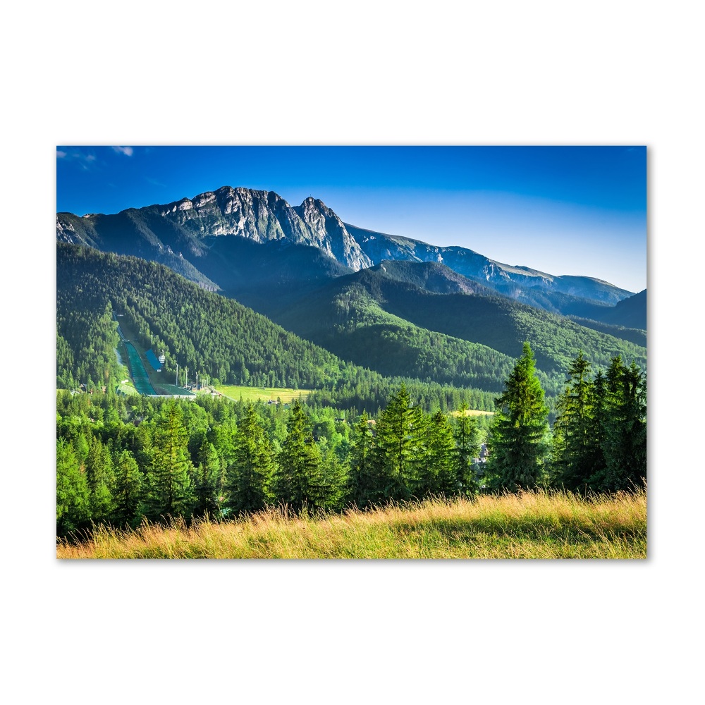 Foto-obraz fotografie na skle Skokanský mostík Tatry