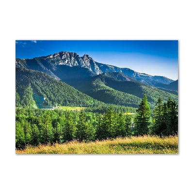 Foto-obraz fotografie na skle Skokanský mostík Tatry