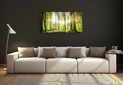Foto obraz sklo tvrzené les slnko