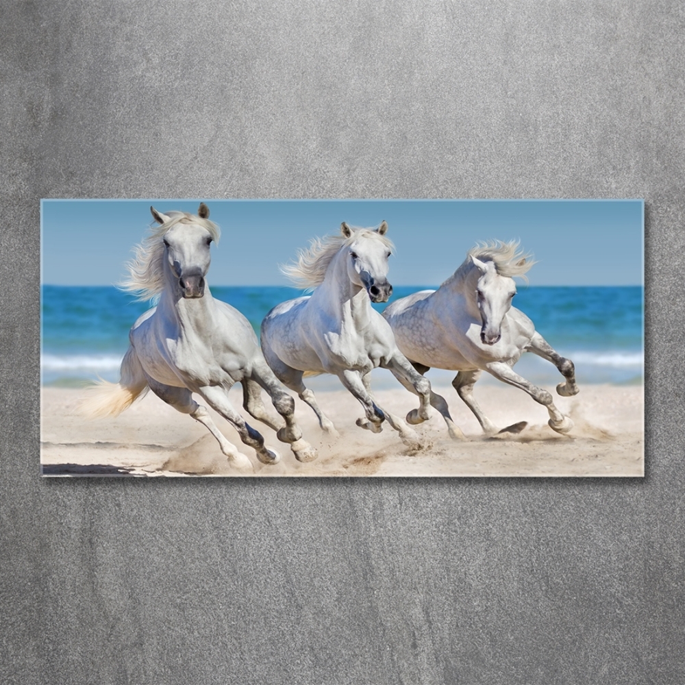 Foto-obraz na skle Biele kone pláž