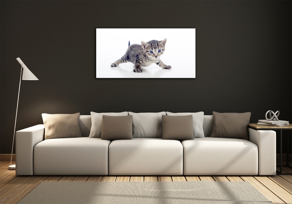 Foto obraz sklo tvrzené malá mačka