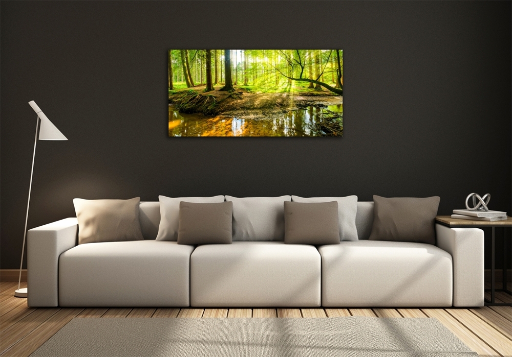 Foto obraz sklo tvrzené Rybník v lese