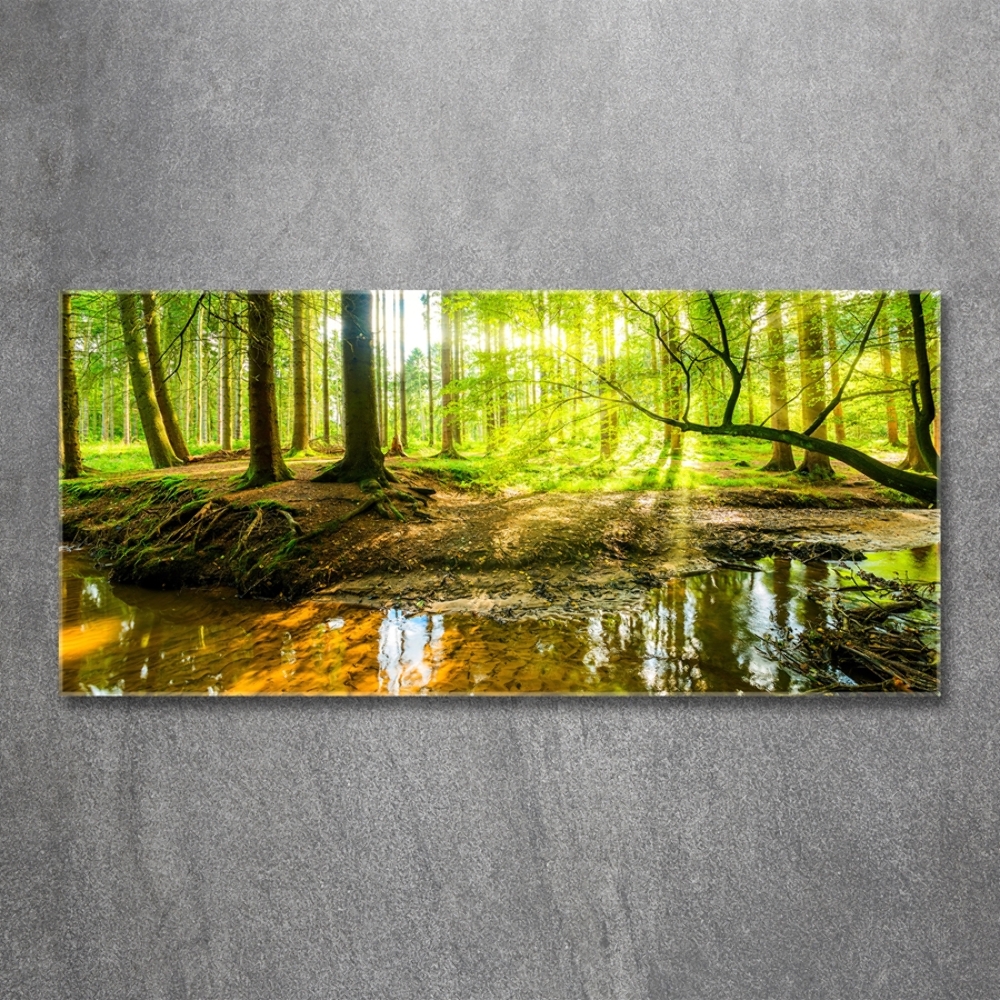 Foto obraz sklo tvrzené Rybník v lese