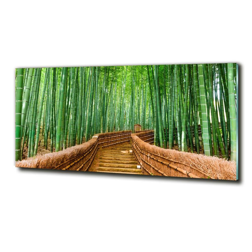 Moderný sklenený obraz z fotografie bambusový les