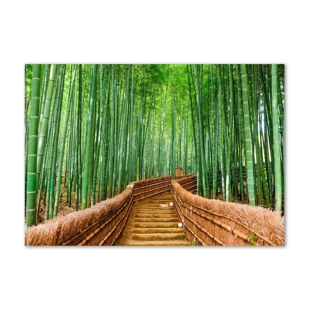 Moderný sklenený obraz z fotografie bambusový les