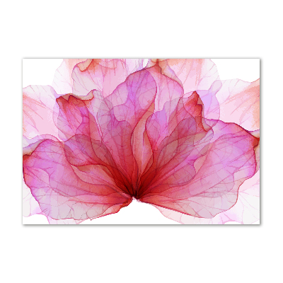 Foto obraz sklo tvrzené ružová kvetina