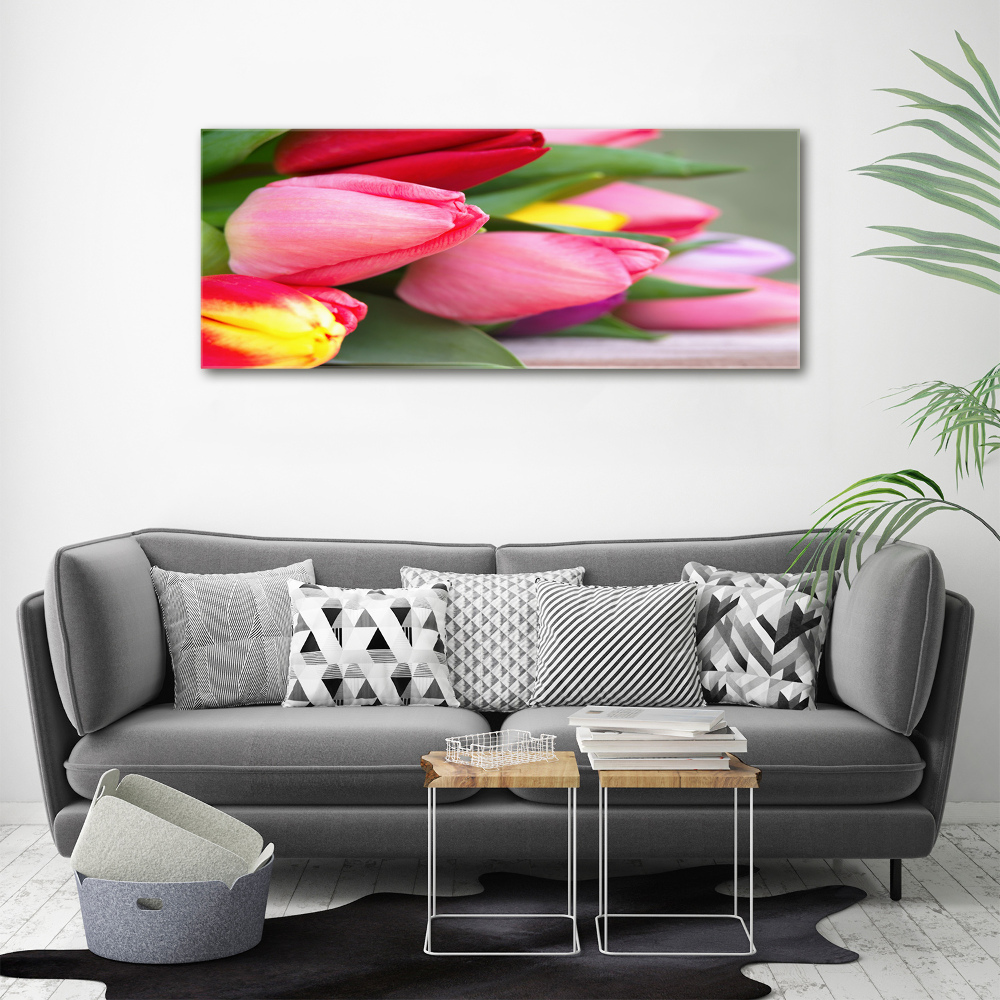 Foto obraz fotografie na skle farebné tulipány