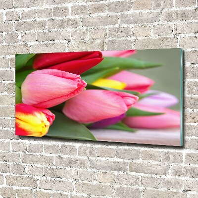 Foto obraz fotografie na skle farebné tulipány