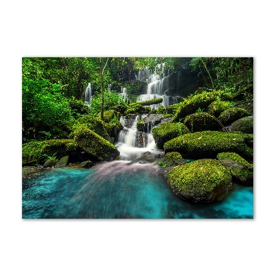Fotoobraz na skle Vodopád v džungli