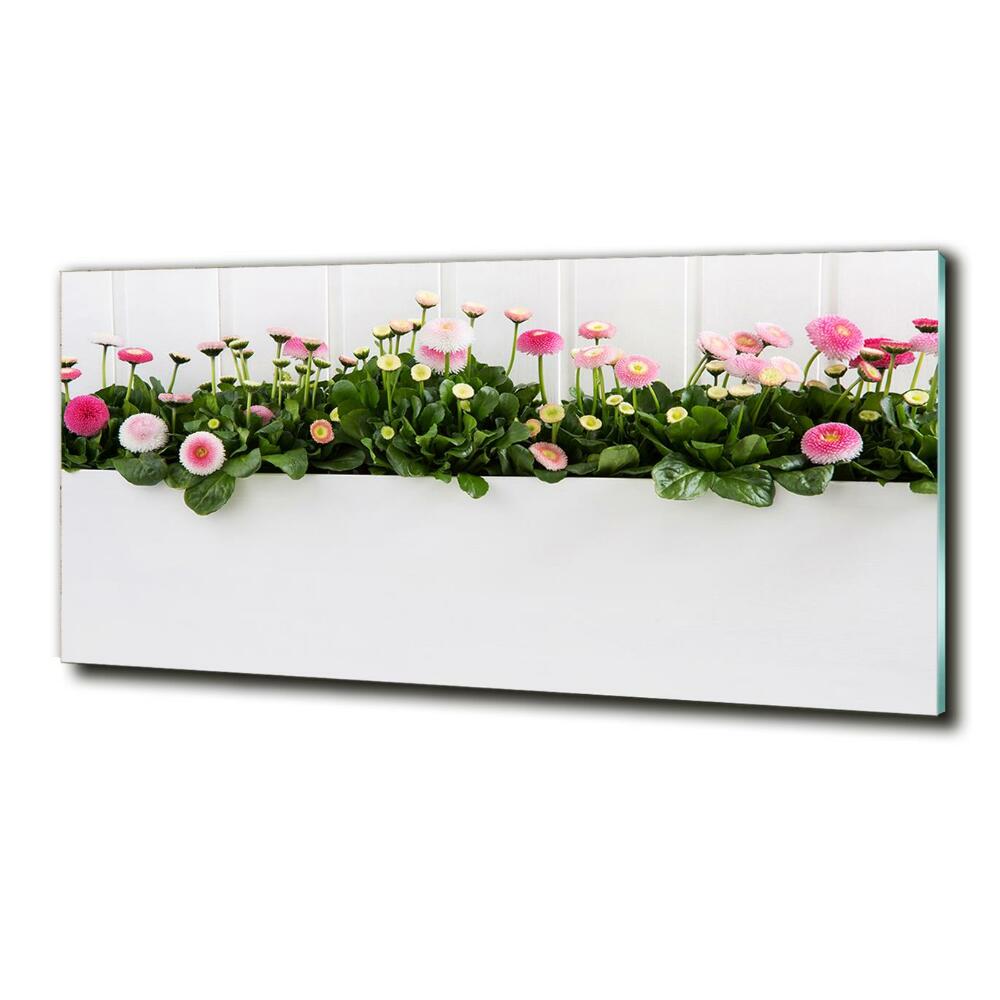 Foto obraz sklenený horizontálny ružové sedmokrásky