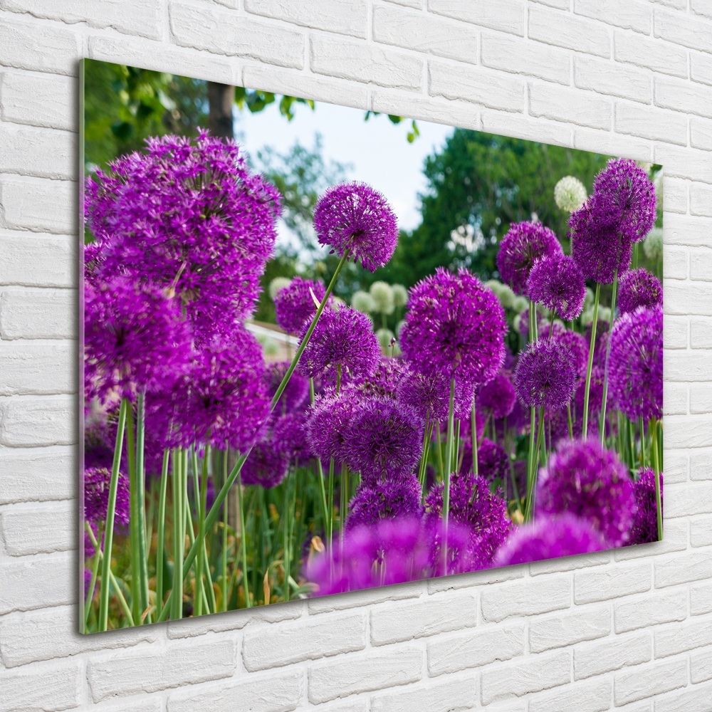 Fotoobraz na skle kvet cesnaku