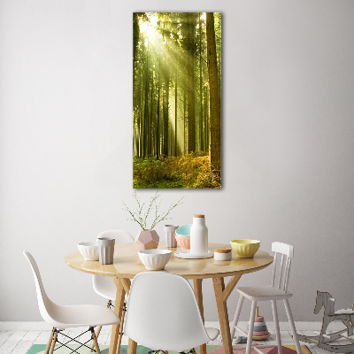 Vertikálny foto obraz sklenený Slnko v lese