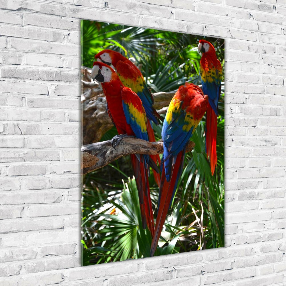 Vertikálny foto obraz sklenený Papagáje Ara