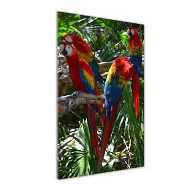 Vertikálny foto obraz sklenený Papagáje Ara