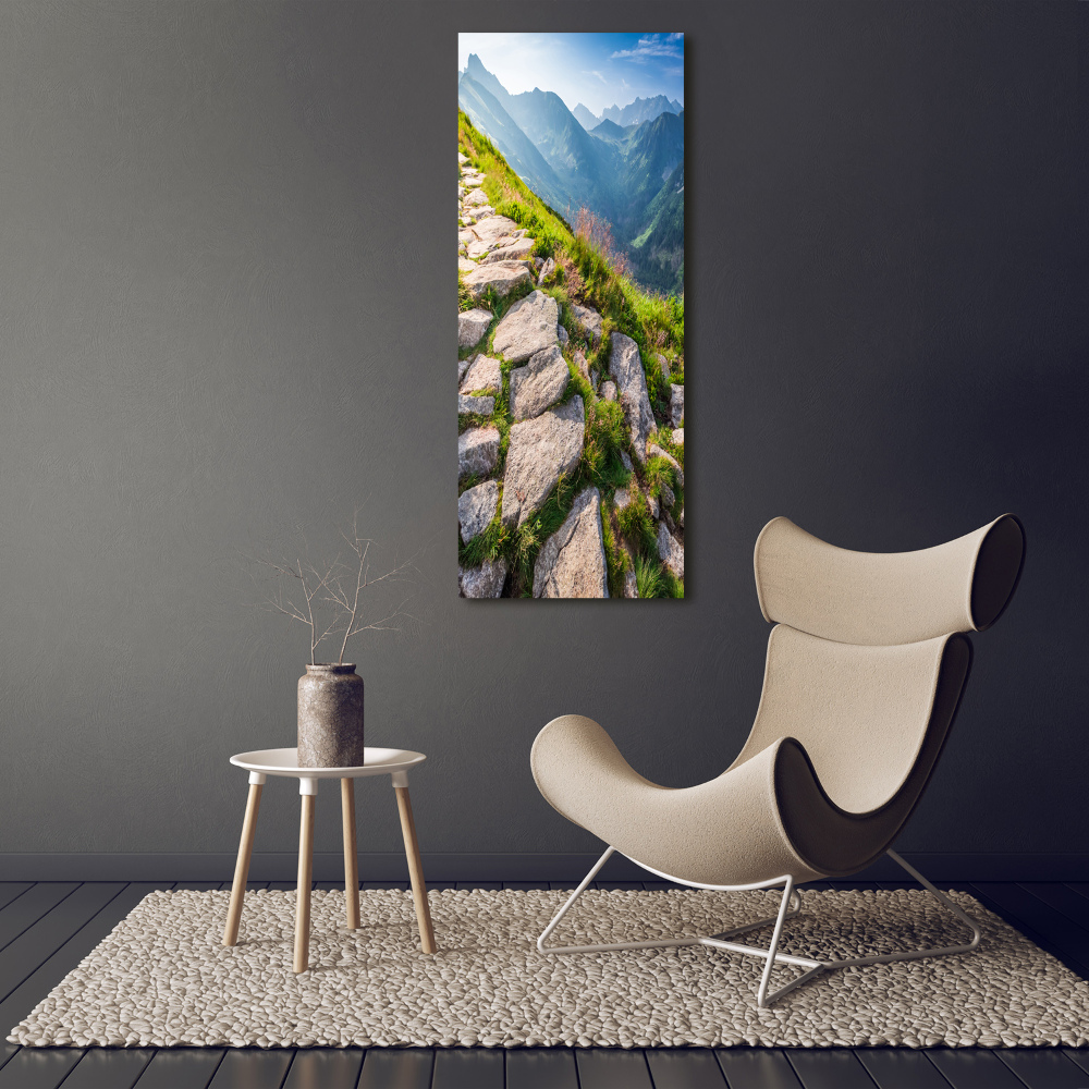 Vertikálny fotoobraz na skle Horský chodník