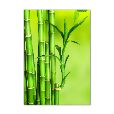 Vertikálny foto obraz fotografie na skle Bambus