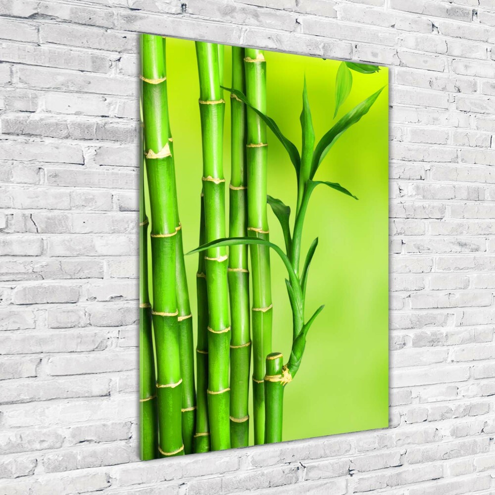 Vertikálny foto obraz fotografie na skle Bambus