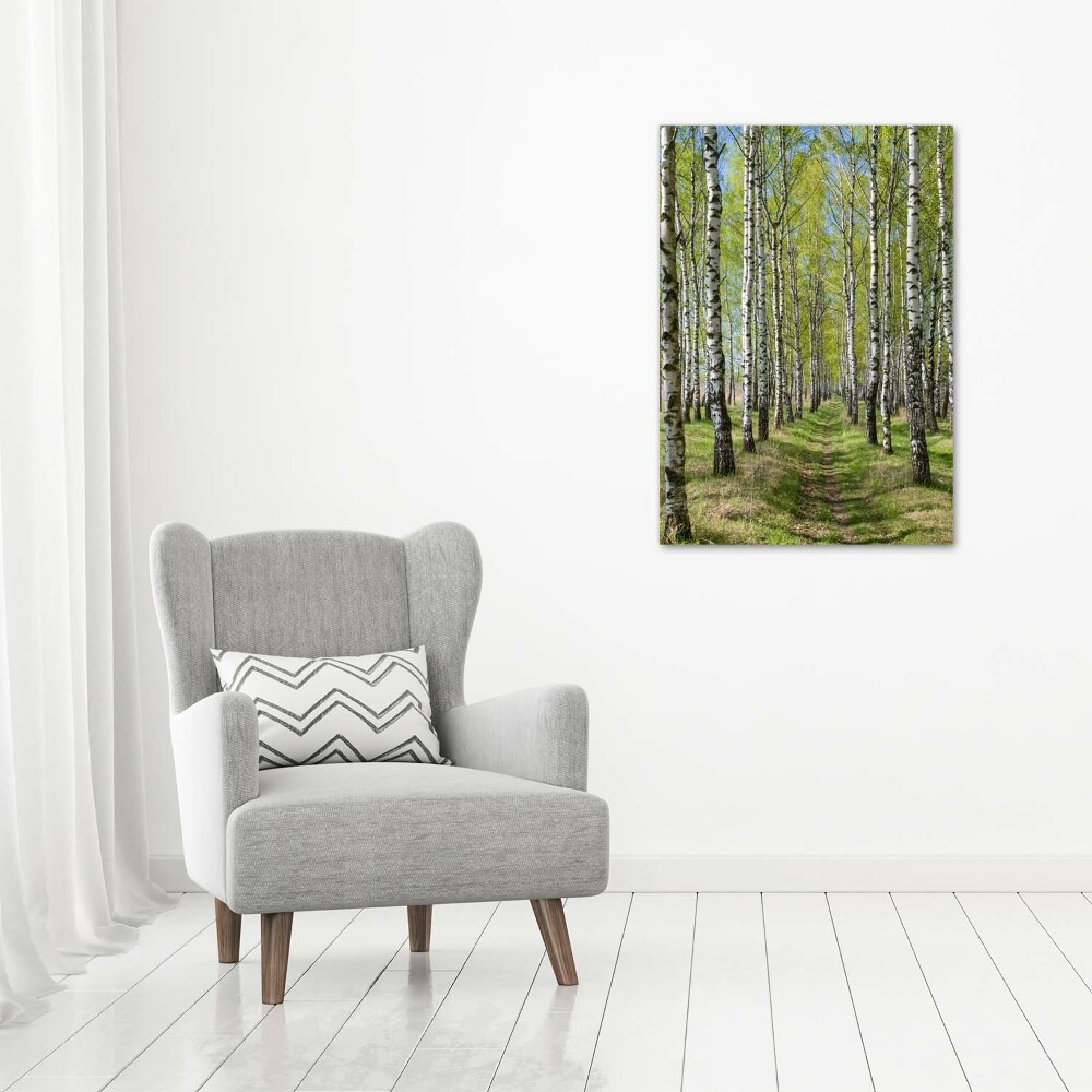 Vertikálny foto obraz sklenený Brezový les