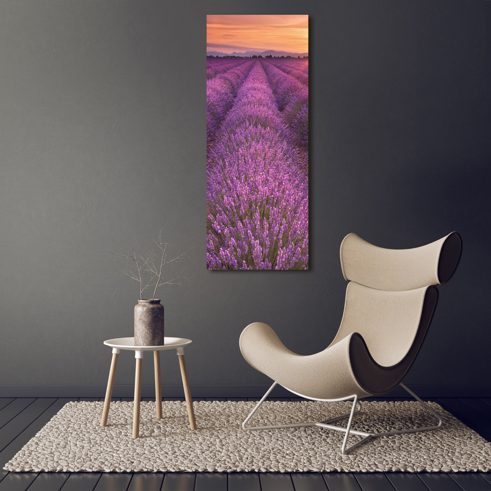 Vertikálny foto obraz fotografie na skle Pole levanduľe