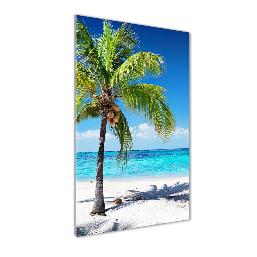 Vertikálny foto obraz sklenený Tropická pláž