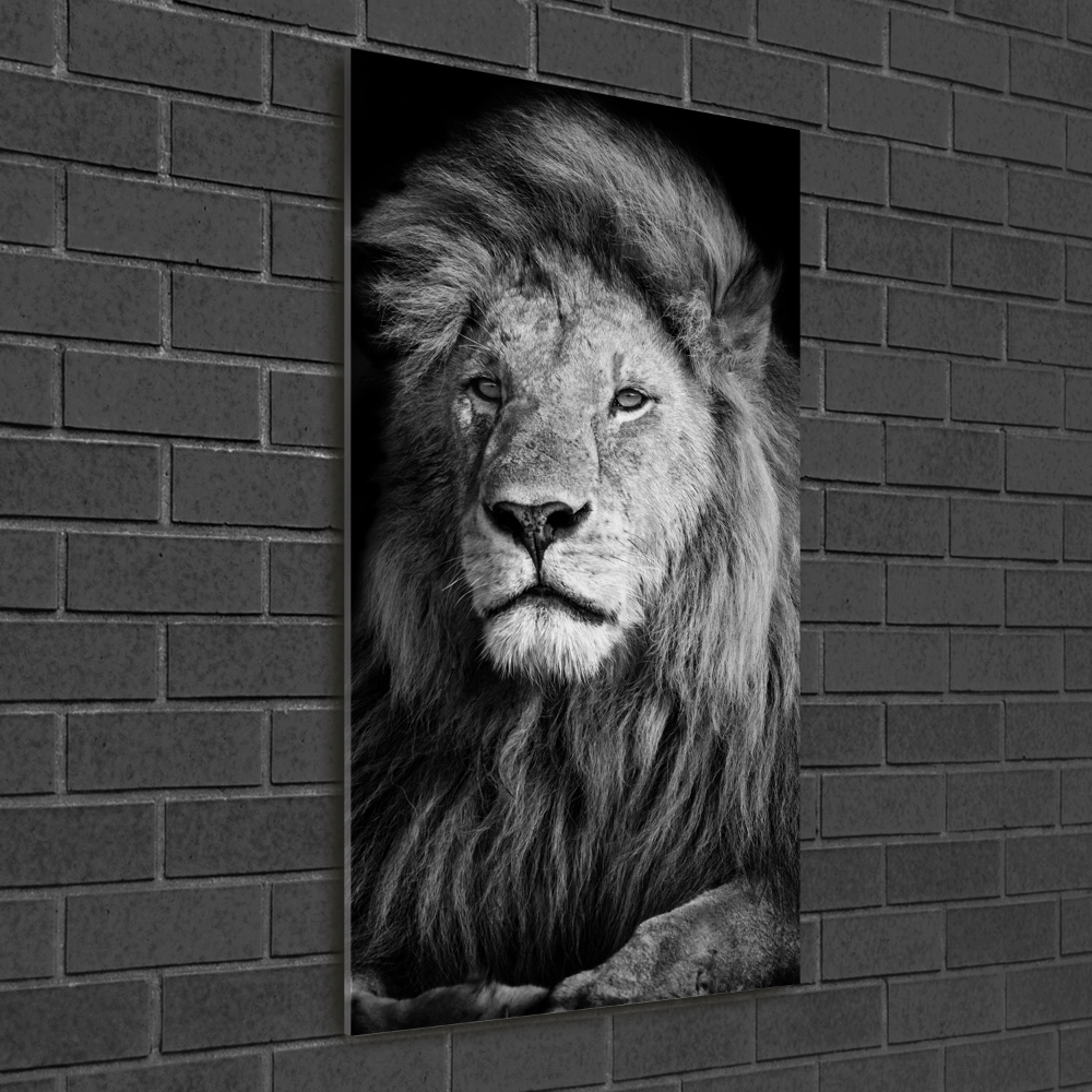 Vertikálny foto obraz sklenený Portrét leva