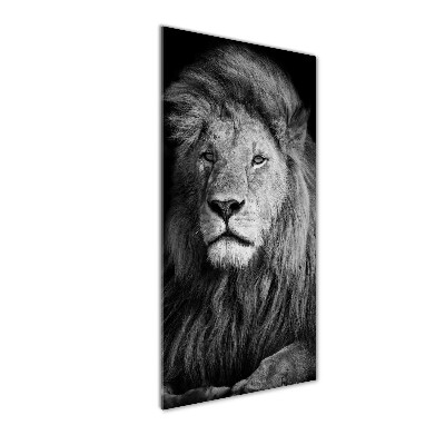 Vertikálny foto obraz sklenený Portrét leva