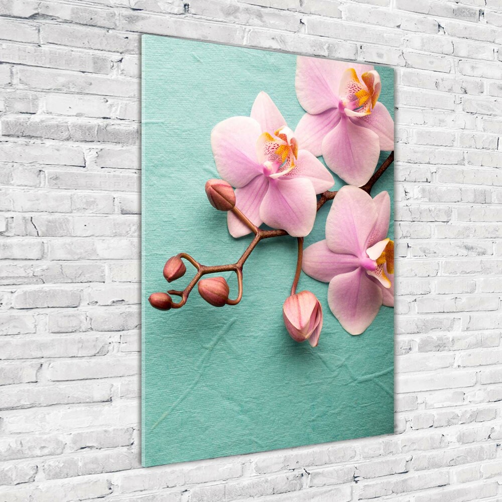 Vertikálny foto obraz sklenený Ružová orchidea