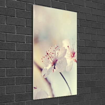 Vertikálny fotoobraz na skle Kvety višne