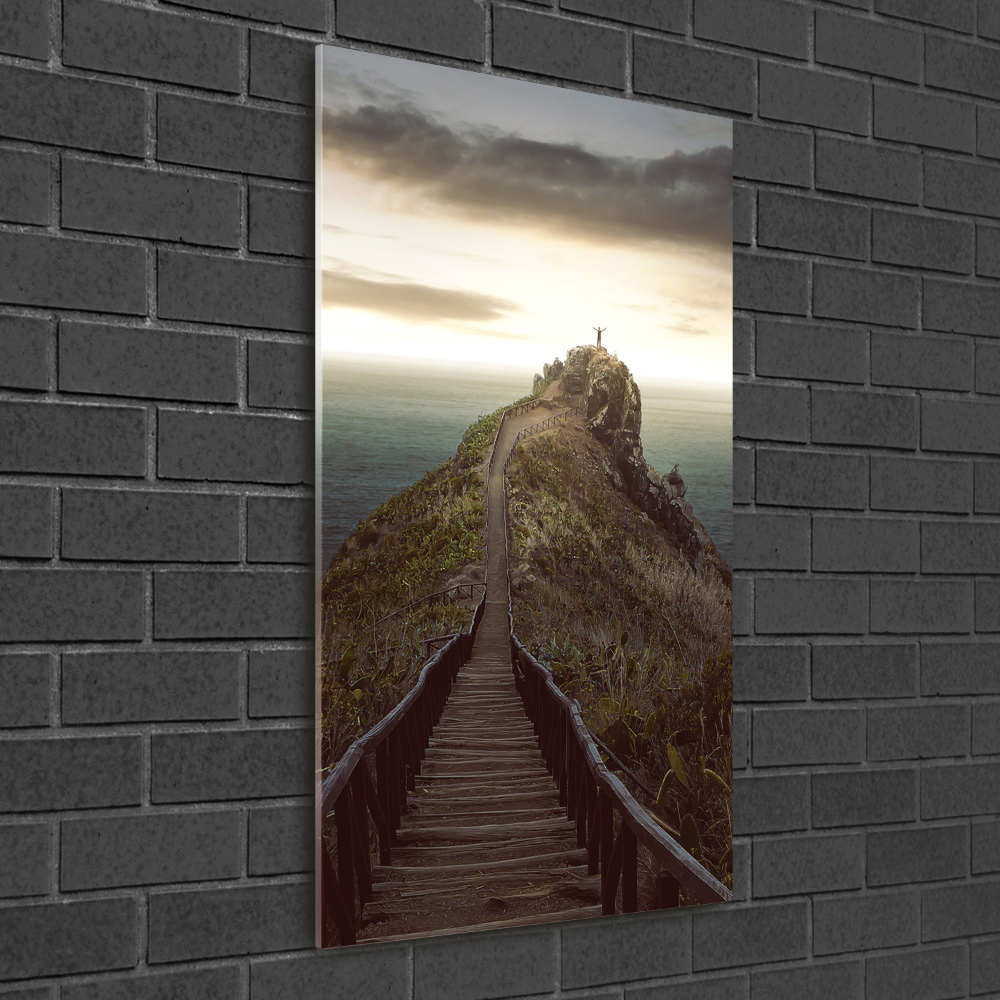 Vertikálny foto obraz sklenený Chodník na skale