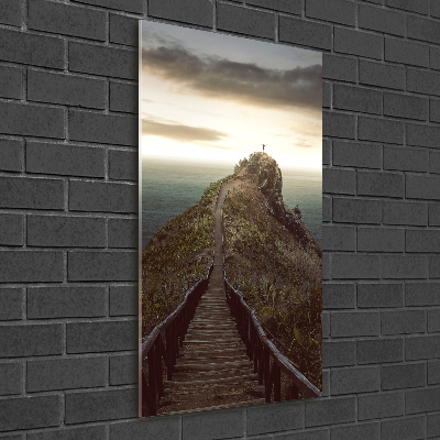 Vertikálny foto obraz sklenený Chodník na skale