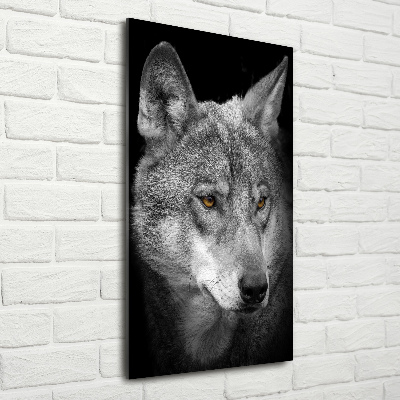 Vertikálny foto obraz fotografie na skle Portrét vlka
