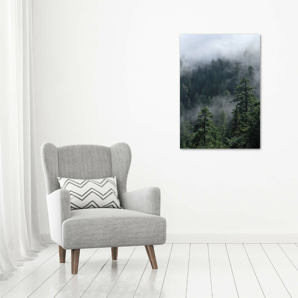 Vertikálny foto obraz sklenený Hmla nad lesom