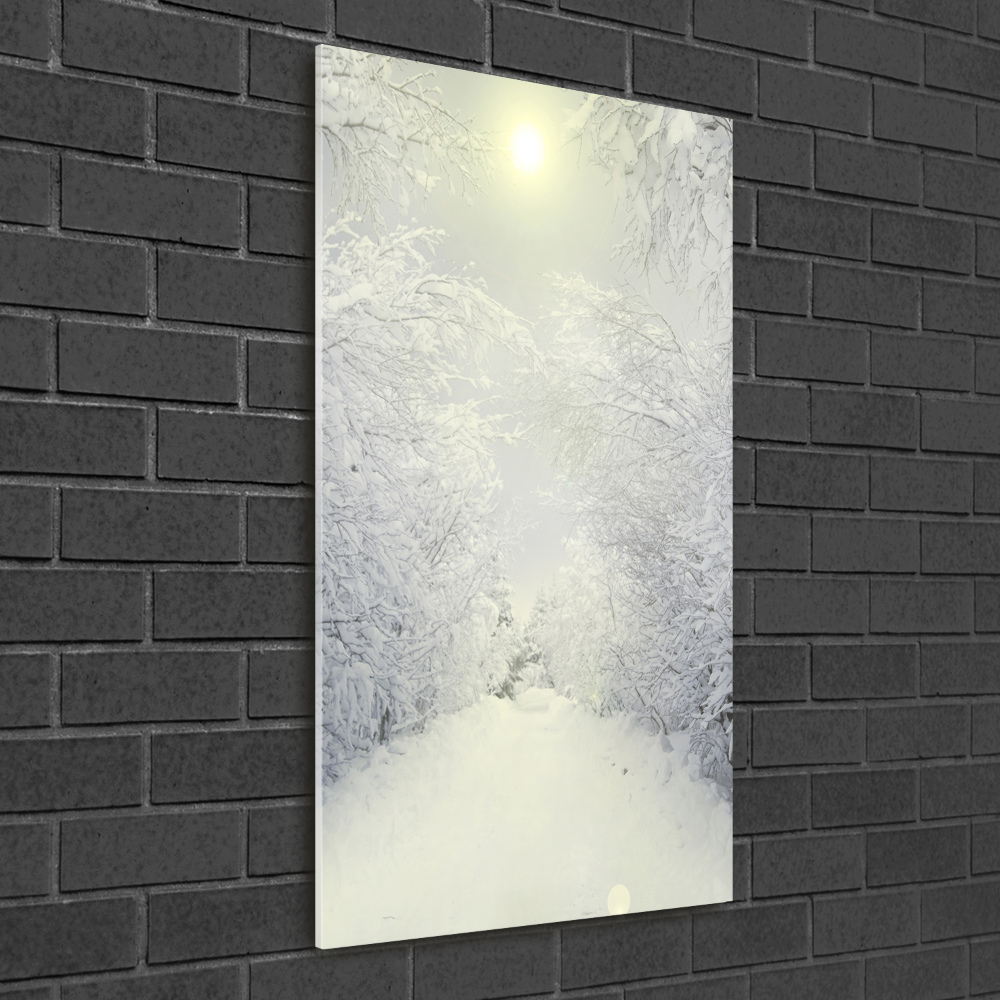 Vertikálny fotoobraz na skle Les zima