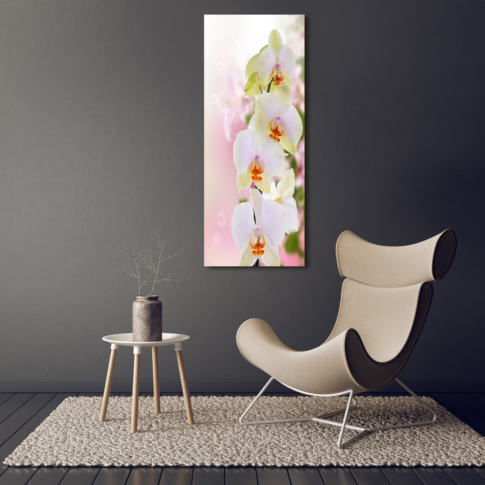 Vertikálny fotoobraz na skle Biela orchidea