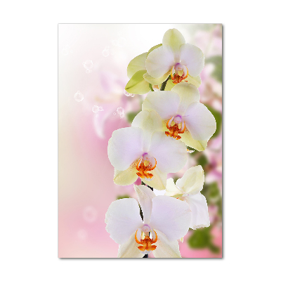 Vertikálny fotoobraz na skle Biela orchidea