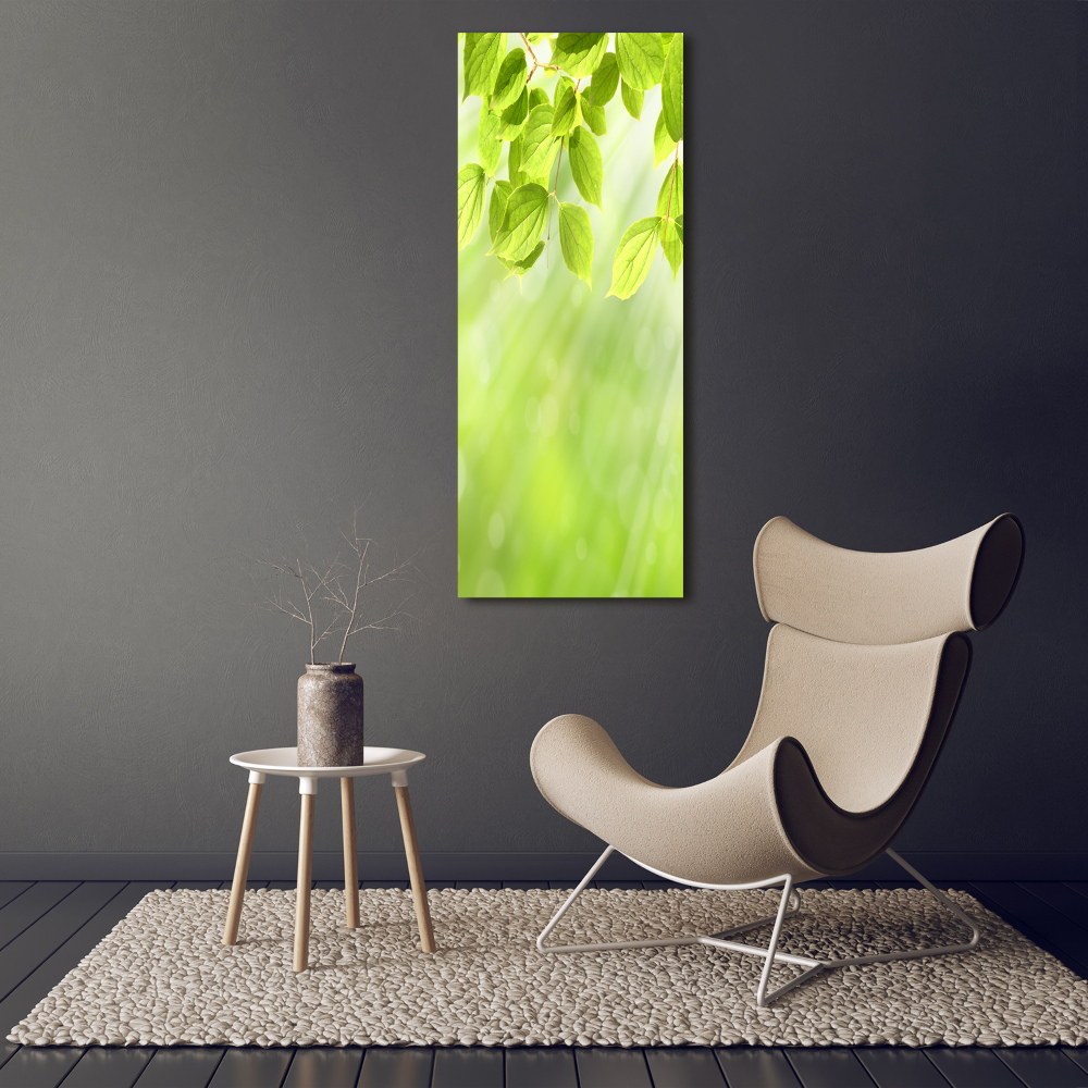 Vertikálny foto obraz sklenený Zelené listy