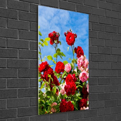 Vertikálny foto obraz sklenený Divoká ruža