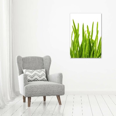 Vertikálny foto obraz sklenený Zelená tráva