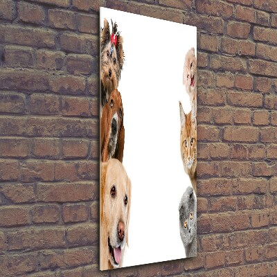 Vertikálny fotoobraz na skle Psy a mačky