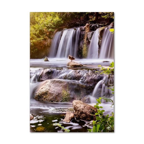 Vertikálny foto obraz fotografie na skle Vodopád